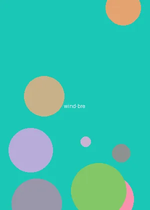 www.aqd.vip.com - 防风少年海报